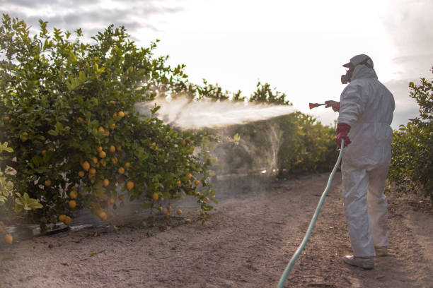 Best Mosquito Control Services  in Cleveland, FL