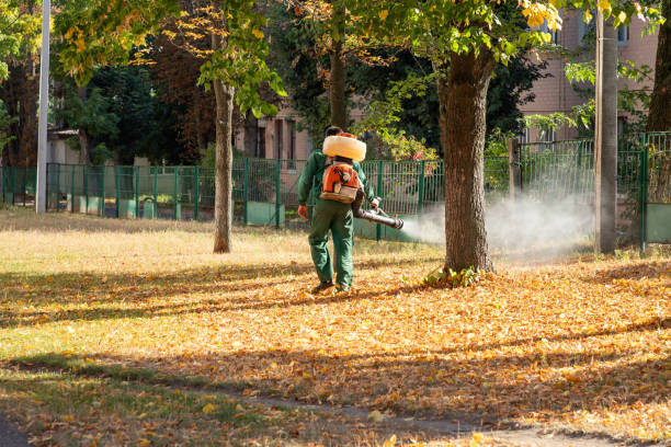 Best Pest Control Near Me in Cleveland, FL