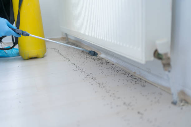 Cleveland, FL Pest Control Company